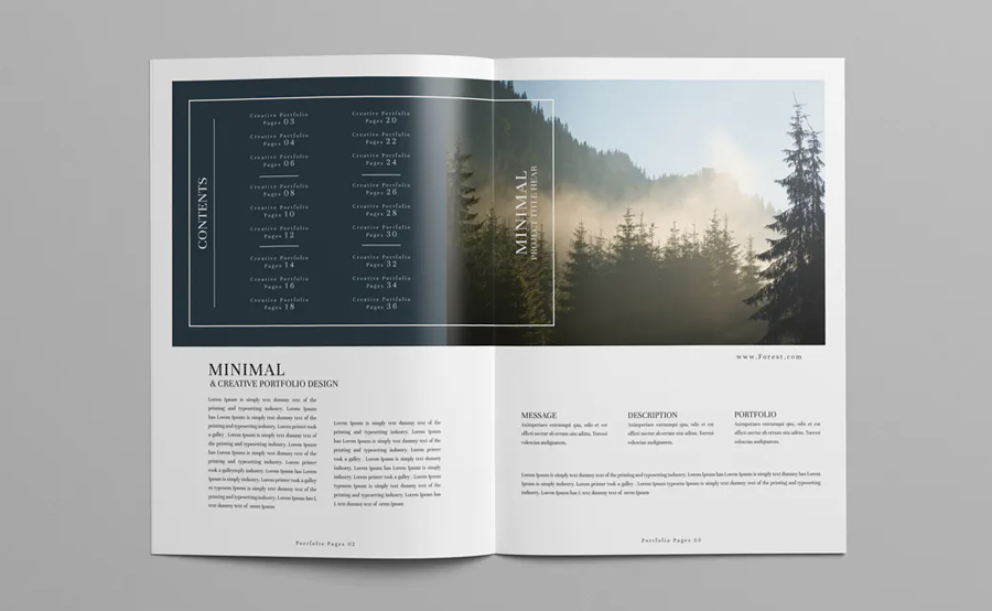Creative portfolio brochure design