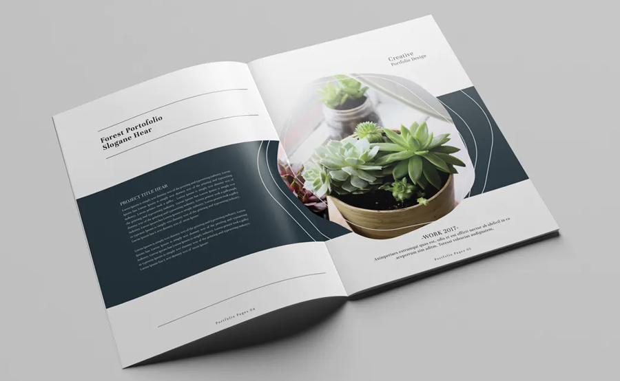Creative portfolio brochure layout