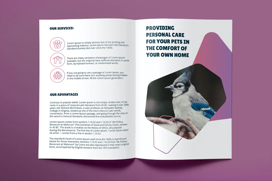 Pet grooming care bi-fold brochure template