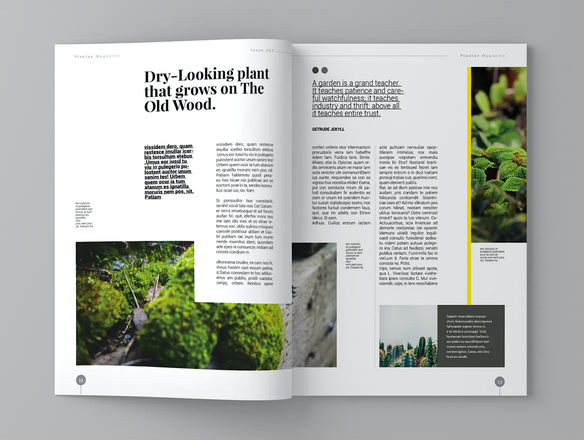 Plant magazine template InDesign