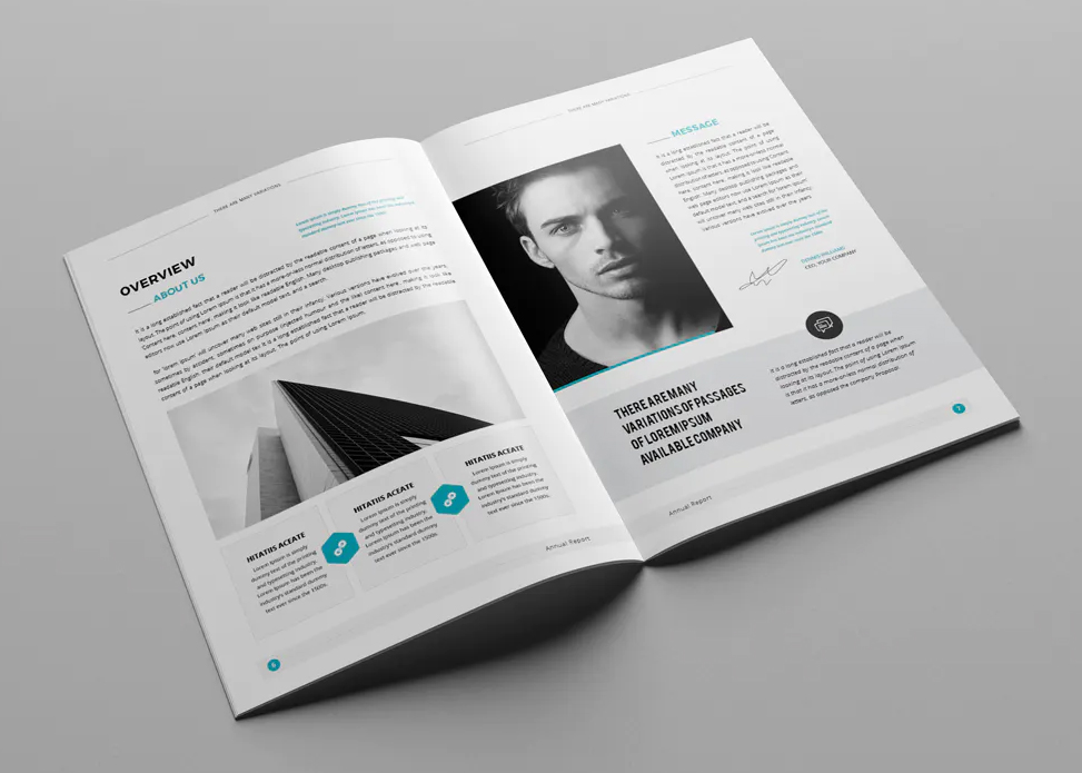Annual report brochure template InDesign