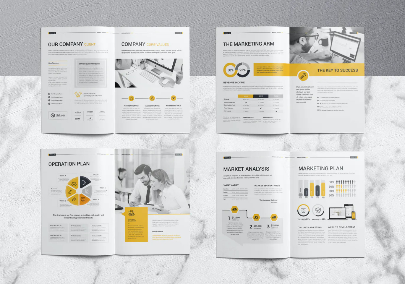 Annual report template InDesign