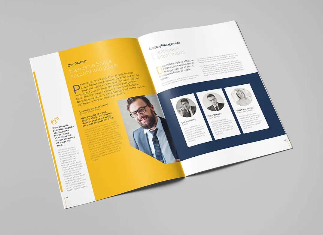 Company profile brochure