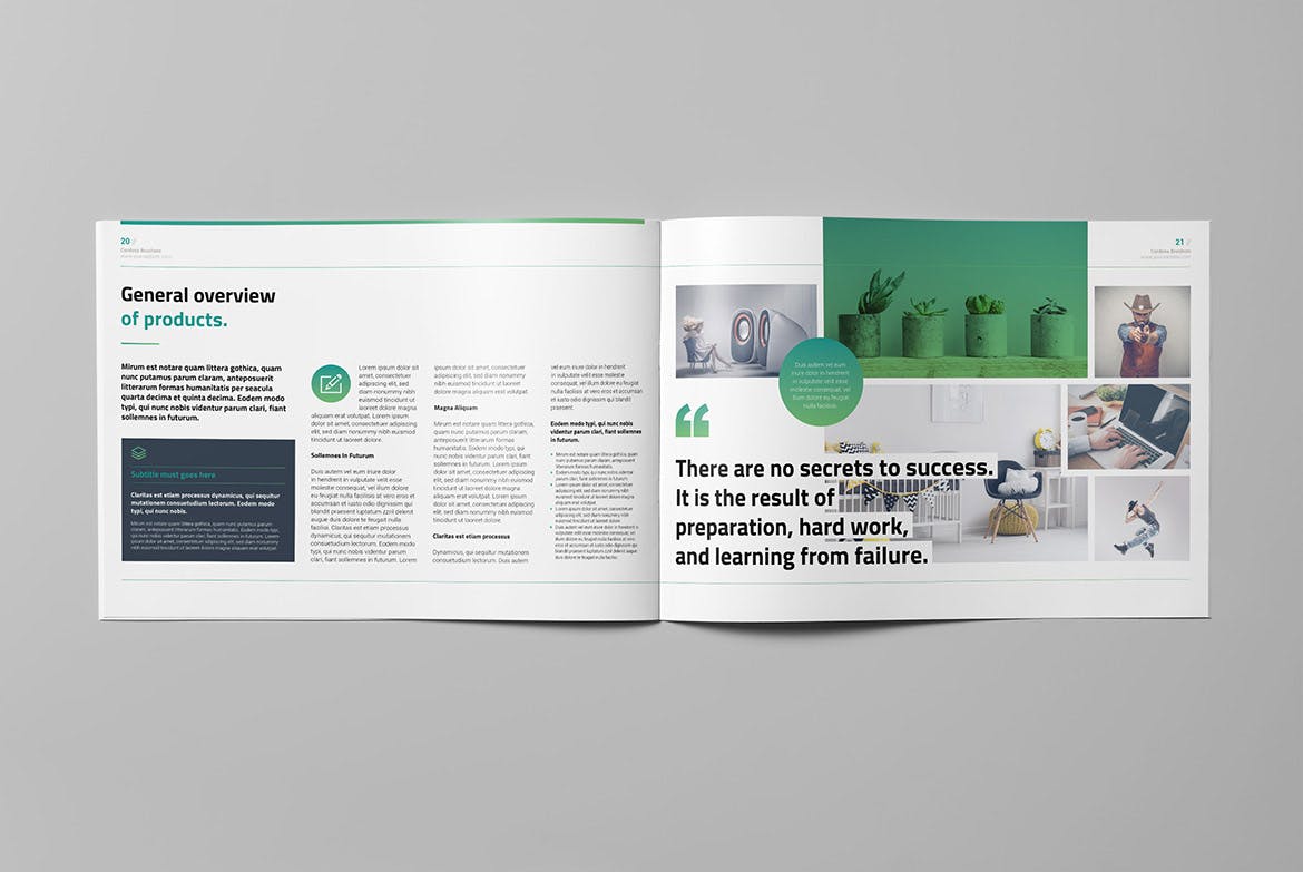Corporate brochure design template InDesign