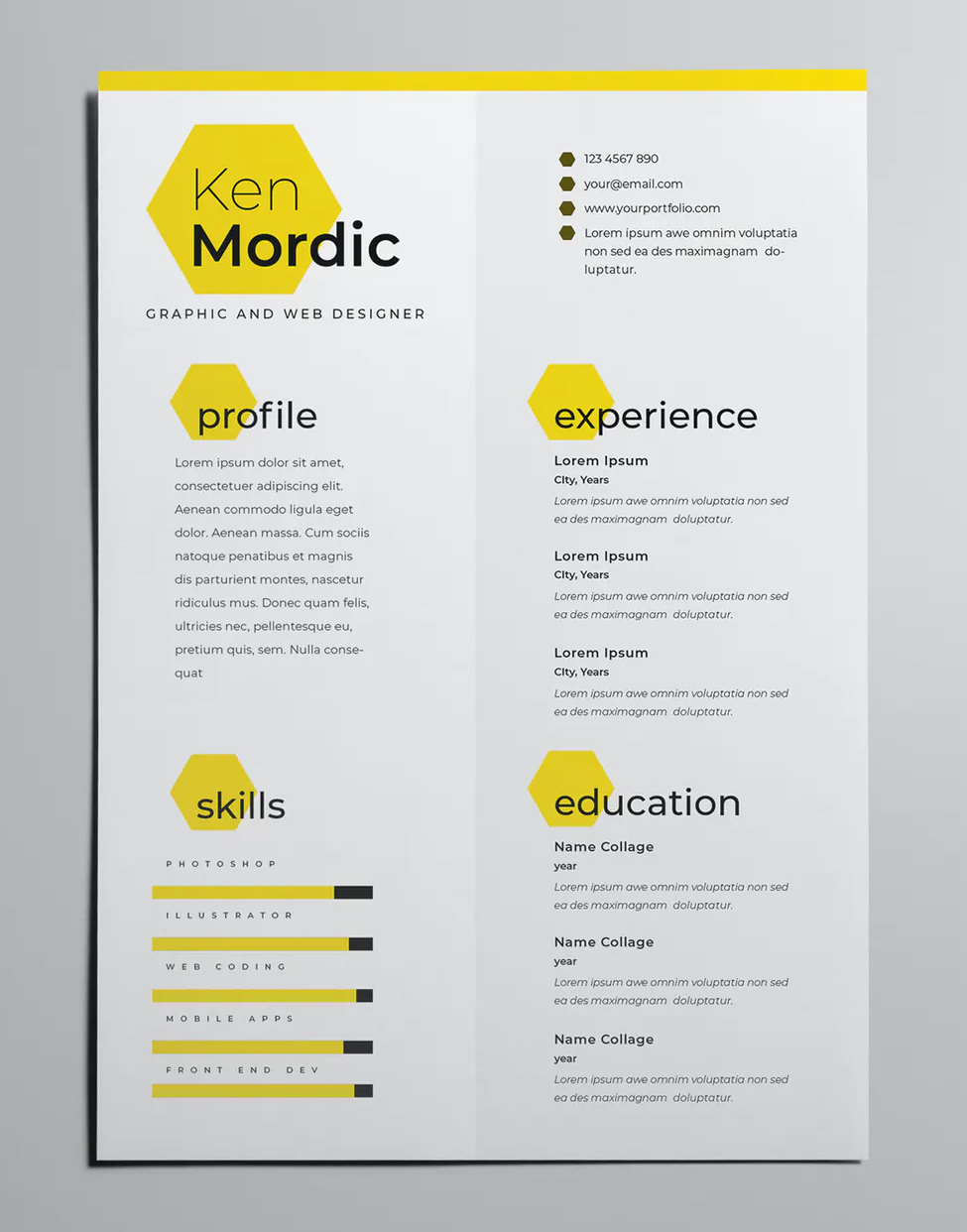 Professional resume design template