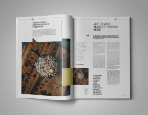 Plant Magazine Template InDesign - ksioks