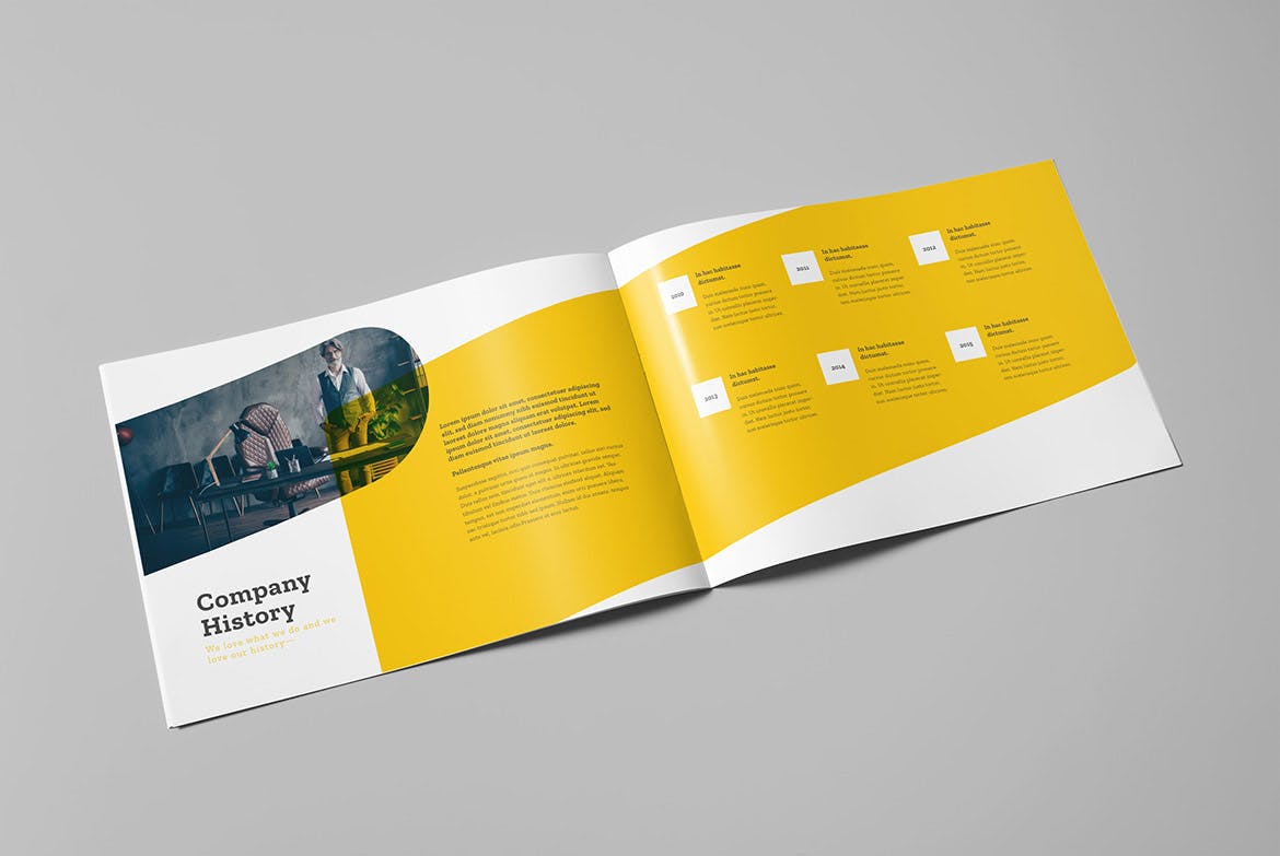 Multipurpose Brochure Design InDesign